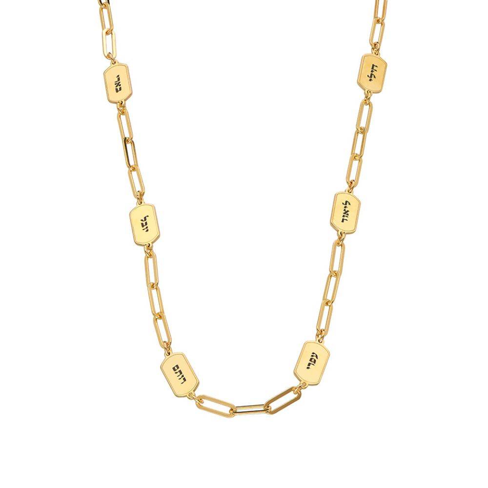 Eternal Name Link Necklace in Gold Vermeil-2 product photo